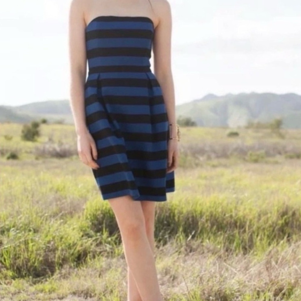 Trina Turk Strapless Blue and Black Dress